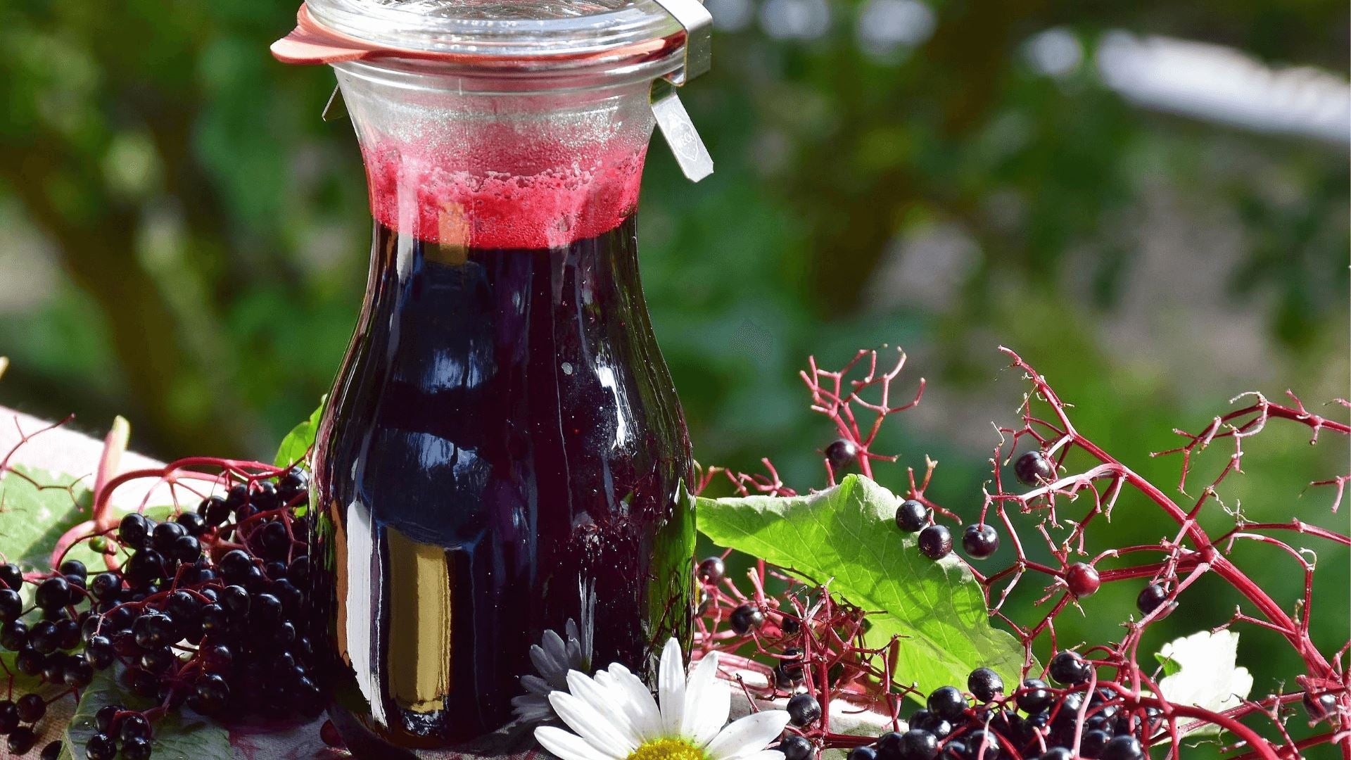 How To Make The Best Elderberry Syrup For Cold & Flu – Life Of Cha