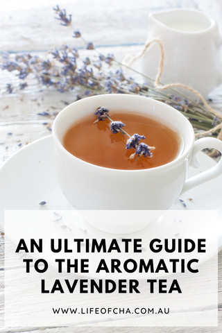Lavender Tea: An Ultimate Guide to This Aromatic Tea