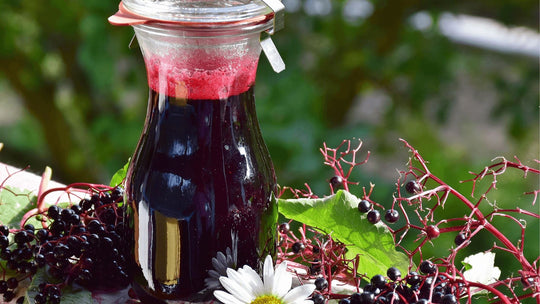 How To Make The Best Elderberry Syrup For Cold & Flu