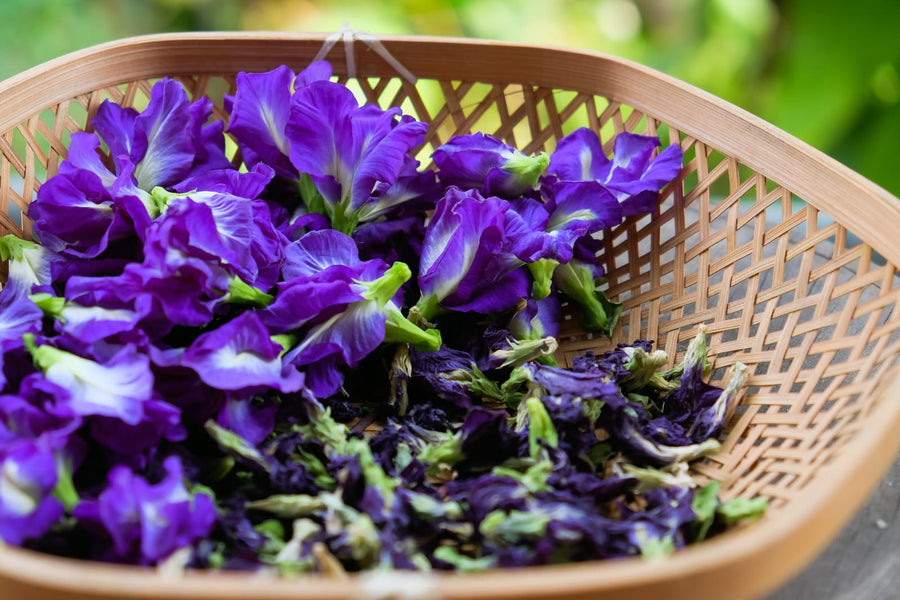 Crystal Blue - Butterfly Pea Flower Tea (Loose Leaf Tea)